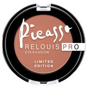 Picasso relouis pro 03 1200
